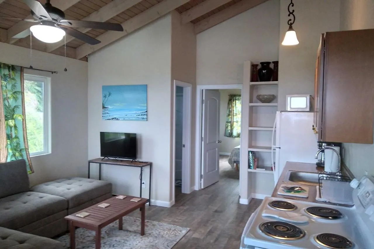 Airy Kailua-Kona Apt Less Than 3 Mi To Beach Access! United States